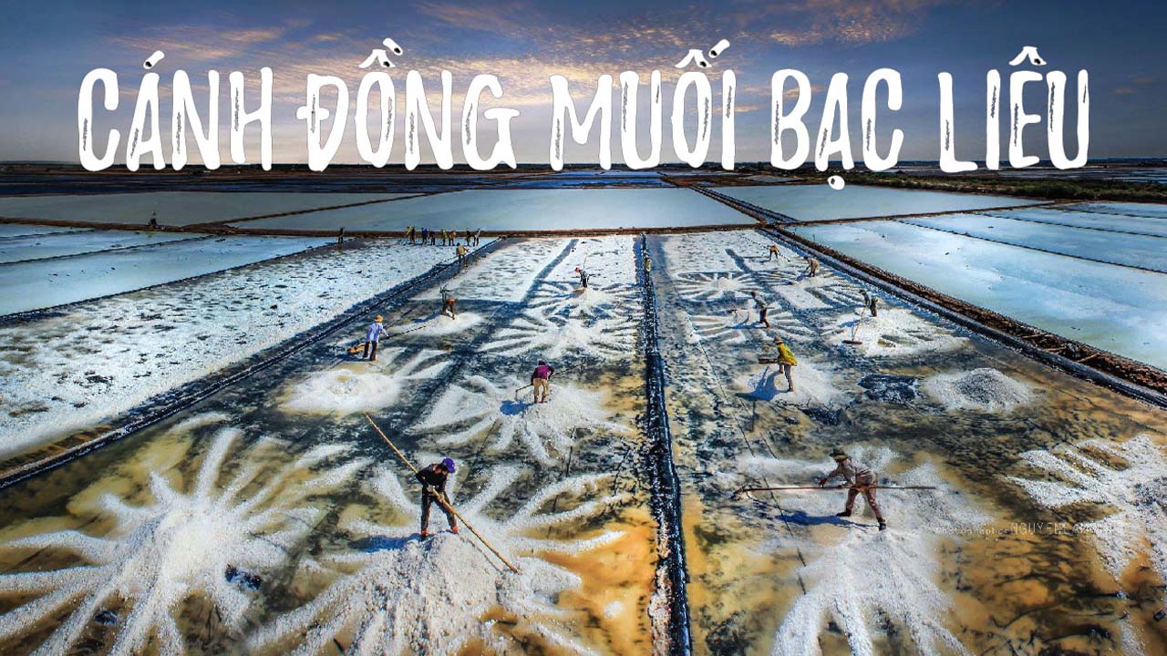 Cánh đồng muối Bạc Liêu